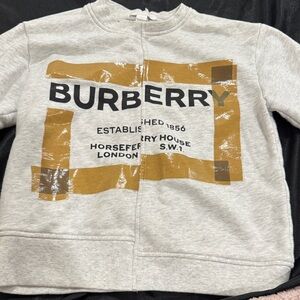 Burberry Kids Gray Sweatshirt with Gold Graphic